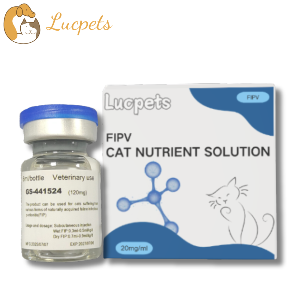 veterinary GS-441524 injection distributor