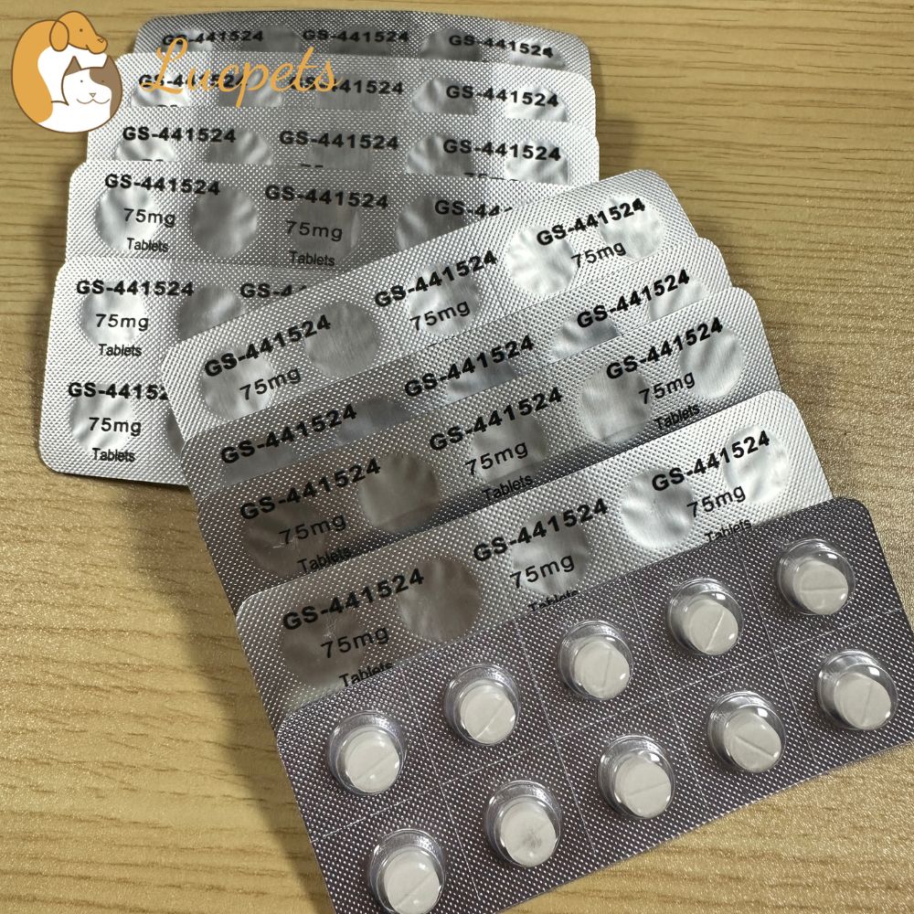 GS-441524 tablets distributor