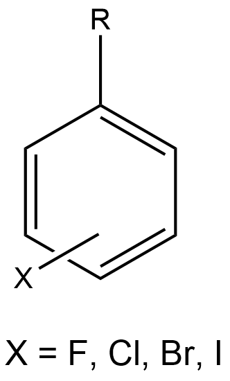 top Halogenated Aromatic Intermediate