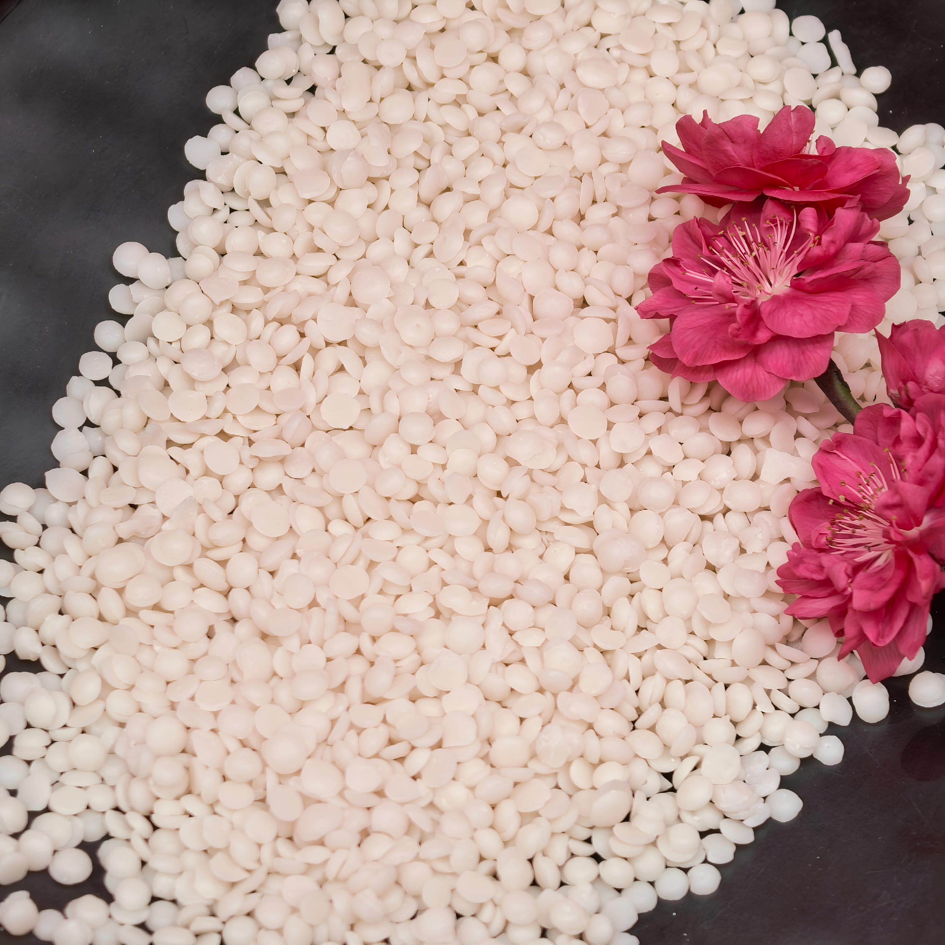 best Berry Wax exporter