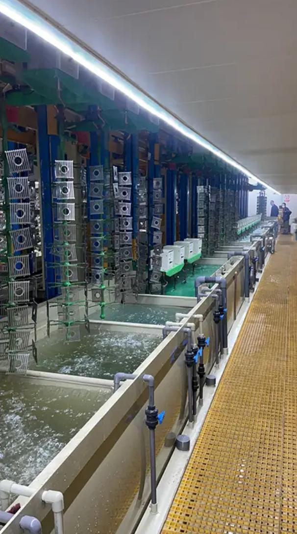 top 10 Sanitary Ware Vertical Lift Plating Equipment