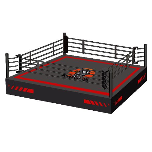 China boxing ring