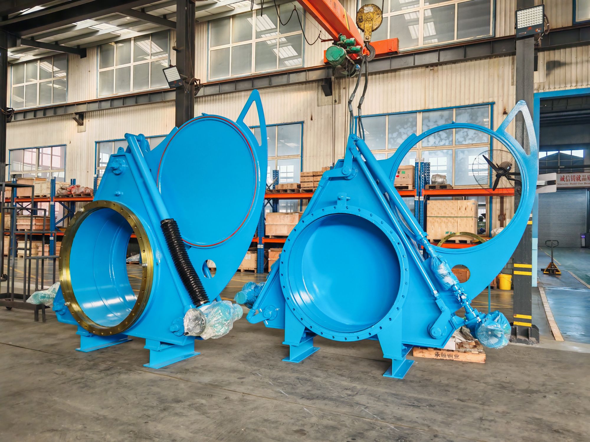 China Swing Goggle Valve